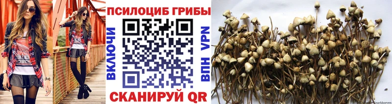 Псилоцибиновые грибы прущие грибы Разумное